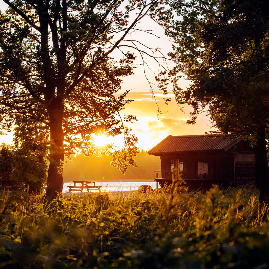 Kronobergs-natur sunset Kronobergs-natur