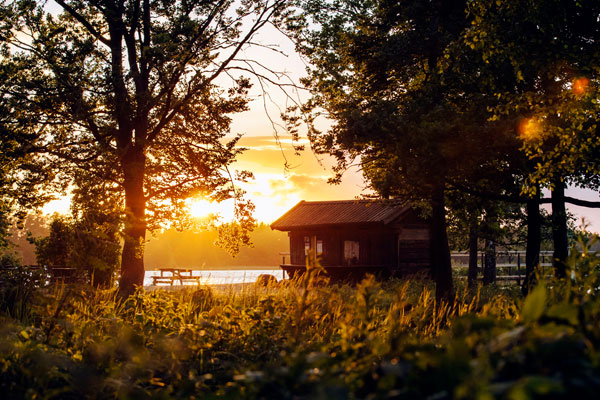 Kronobergs-natur-